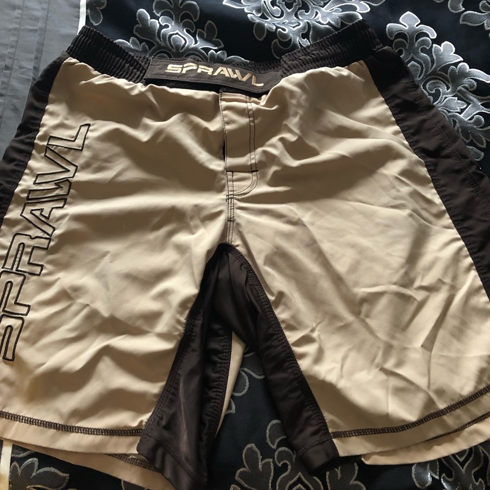 Sprawl MMA/BJJ shorts. Size 38